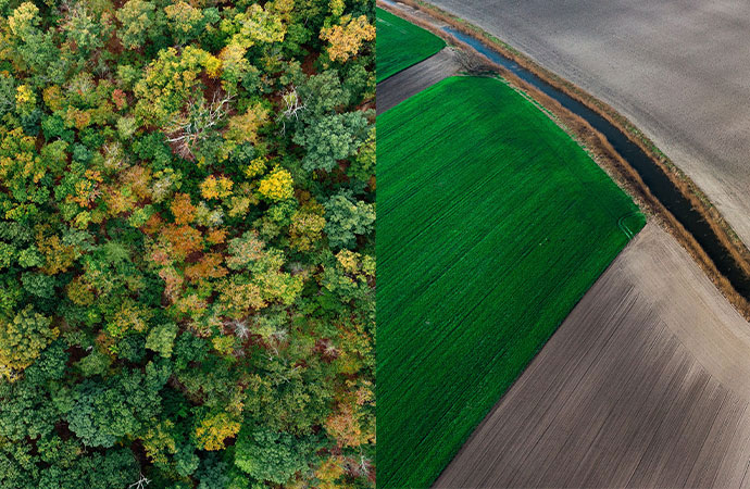 #ScienceDurable – S’inspirer de la nature pour prévenir les pandémies