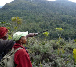 #ScienceDurable – Déforestation à Madagascar : concilier développement et conservation de la biodiversité