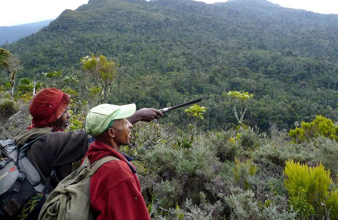 #ScienceDurable – Déforestation à Madagascar : concilier développement et conservation de la biodiversité