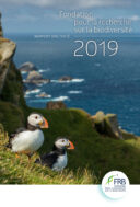 Rapport d’activité 2019