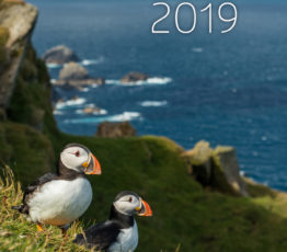 Rapport d’activité 2019