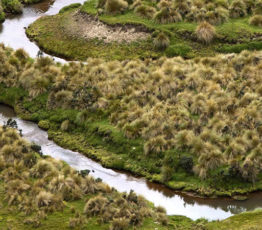 #ScienceDurable – De l’eau durable pour Quito