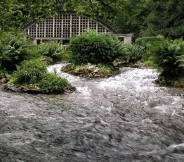 #ScienceDurable – Les promesses de la biodiversité des eaux souterraines