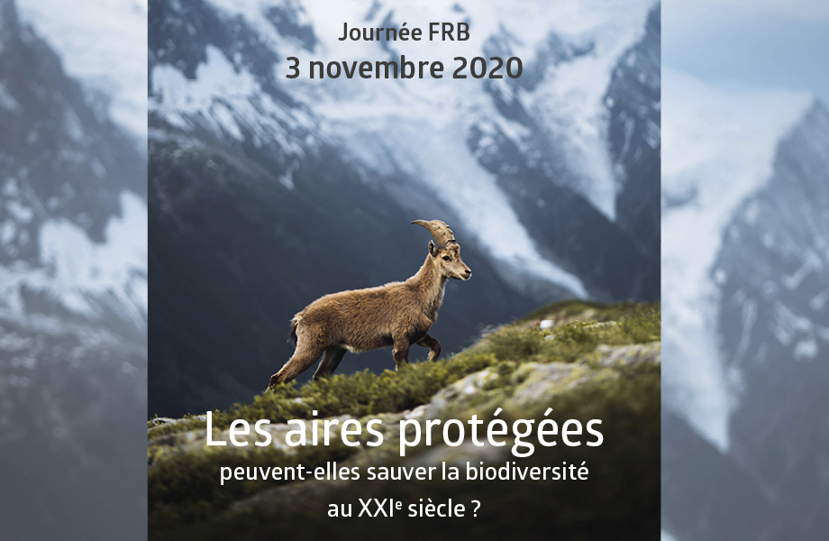 [Journée FRB 2020] Les aires protégées peuvent-elles sauver la biodiversité au XXIe siècle ?