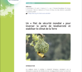 Un « filet de sécurité mondial » pour inverser la perte de biodiversité et stabiliser le climat de la Terre
