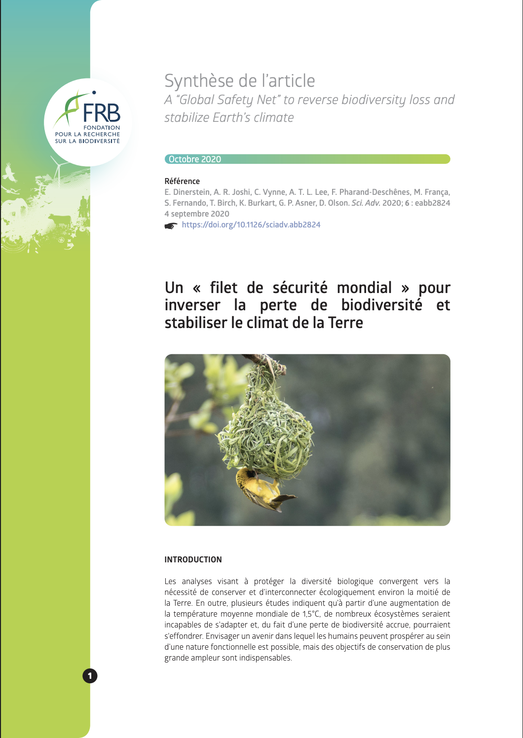 Un « filet de sécurité mondial » pour inverser la perte de biodiversité et stabiliser le climat de la Terre