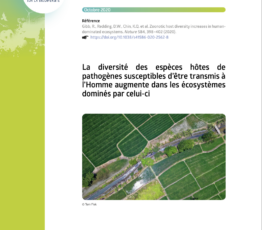 La diversité des espèces hôtes de pathogènes susceptibles d’être transmis à l’Homme augmente dans les écosystèmes dominés par celui-ci