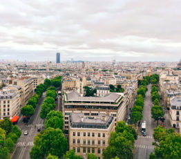 #ScienceDurable – Les « forêts urbaines », essentielles aux villes de demain