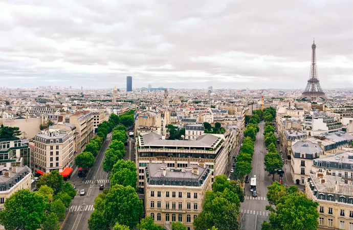 #ScienceDurable – Les « forêts urbaines », essentielles aux villes de demain