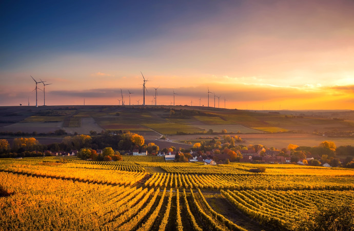 [Appel à experts – Ipbes] Appel à nomination d’experts pour l’évaluation méthodologique Ipbes “Entreprises et biodiversité”