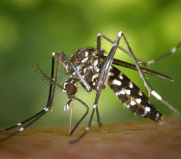 Conférence de lancement des projets de l’appel à projets BiodivERsA « Biodiversité et son influence sur la santé animale, humaine et végétale »