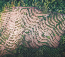 Webinaire – Comment sortir de l’ère des pandémies ?