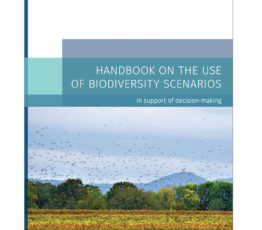 [BiodivERsA] Découvrez le manuel de BiodivScen sur l’utilisation des scénarios pour soutenir la prise de décision