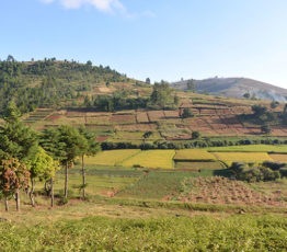 L’agriculture familiale à Madagascar