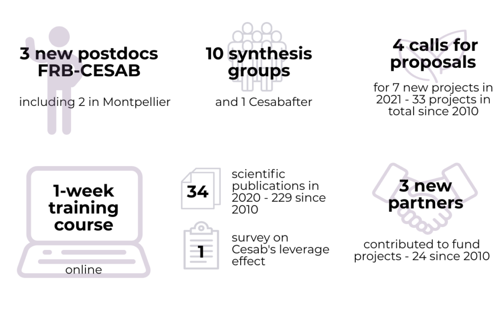 CESAB in ZOOM NL 4