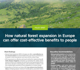 [BiodivERsA] Une note d’orientation BiodivERsA basée sur les résultats du projet SPONFOREST