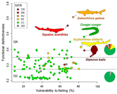 Figure_Murgier et al_2021021