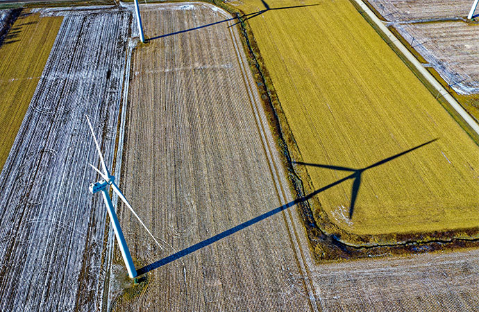 #ScienceDurable – Liens entre énergies renouvelables et biodiversité