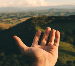 [Conférence] Une seule santé, en pratique ?