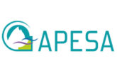 Apesa