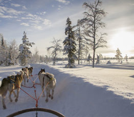 [Conférence] Lancement des projets de l’appel à projets BiodivERsA « Biodiversité et changement climatique »