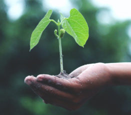 [Conférence] La Journée de la Francophonie 2021