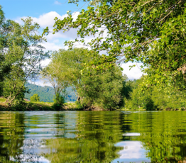 Biodiversité et épidémies
