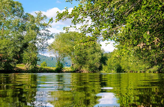 Biodiversité et épidémies