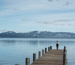 [Enquête] Avec quelle nature souhaitez-vous vivre ?