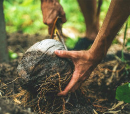 [Appel à relectures – Ipbes] Utilisation durable des espèces sauvages