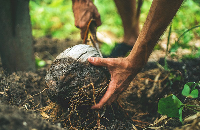 [Appel à relectures – Ipbes] Utilisation durable des espèces sauvages