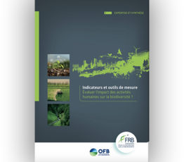 Indicateurs et outils de mesure : évaluer l’impact des activités humaines sur la biodiversité ? La FRB présente ses recommandations