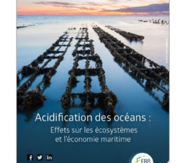 Acidification des océans : Effets sur les écosystèmes et l’économie maritime