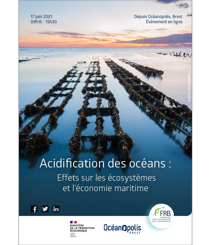 Acidification des océans : Effets sur les écosystèmes et l’économie maritime