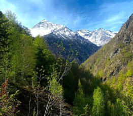 [Plénière Ipbes] En route vers la huitième session