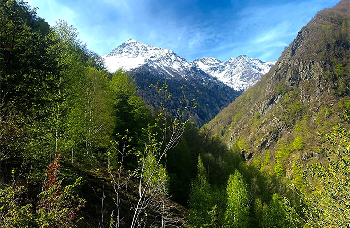 [Plénière Ipbes] En route vers la huitième session