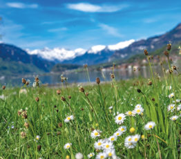 La biodiversité au cœur des recherches d’INRAE, membre fondateur de la FRB, spécialiste des enjeux agriculture, alimentation et environnement