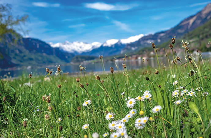 La biodiversité au cœur des recherches d’INRAE, membre fondateur de la FRB, spécialiste des enjeux agriculture, alimentation et environnement