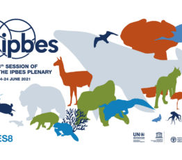 [Ipbes] Au cœur de la 8e plénière