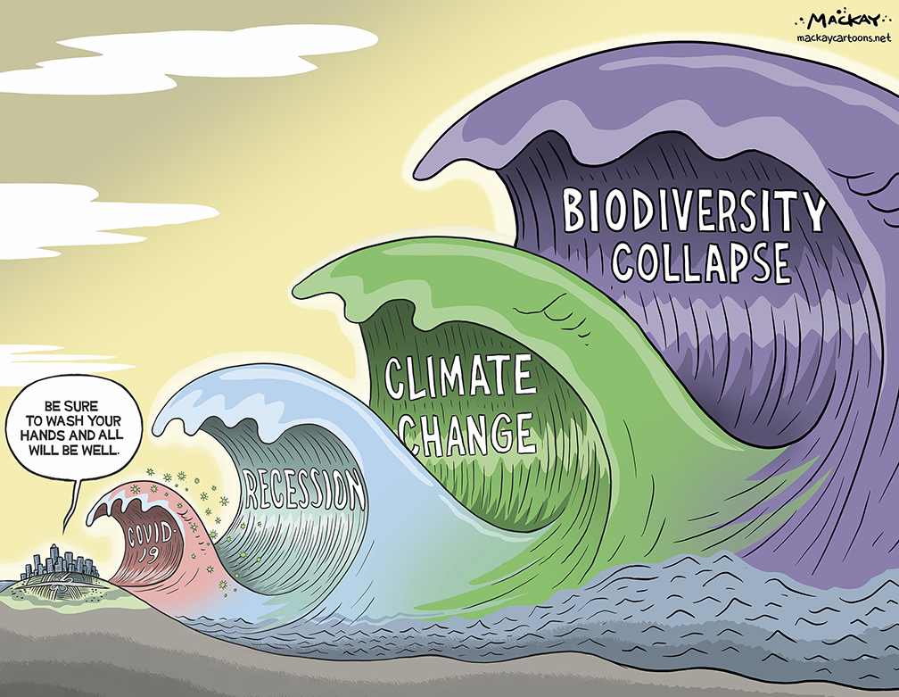 Biodiversity collapse