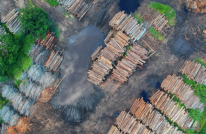 [Appel à relecture – Ipbes] Évaluation « nexus » sur les liens biodiversité, eau, alimentation, santé et énergie