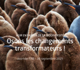 [Journée FRB 2021] Agir en faveur de la biodiversité – Osons les changements transformateurs !