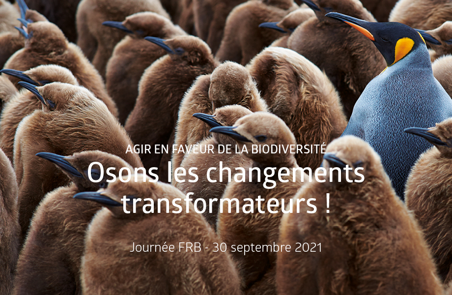 [Journée FRB 2021] Agir en faveur de la biodiversité – Osons les changements transformateurs !