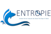 ENTROPIE