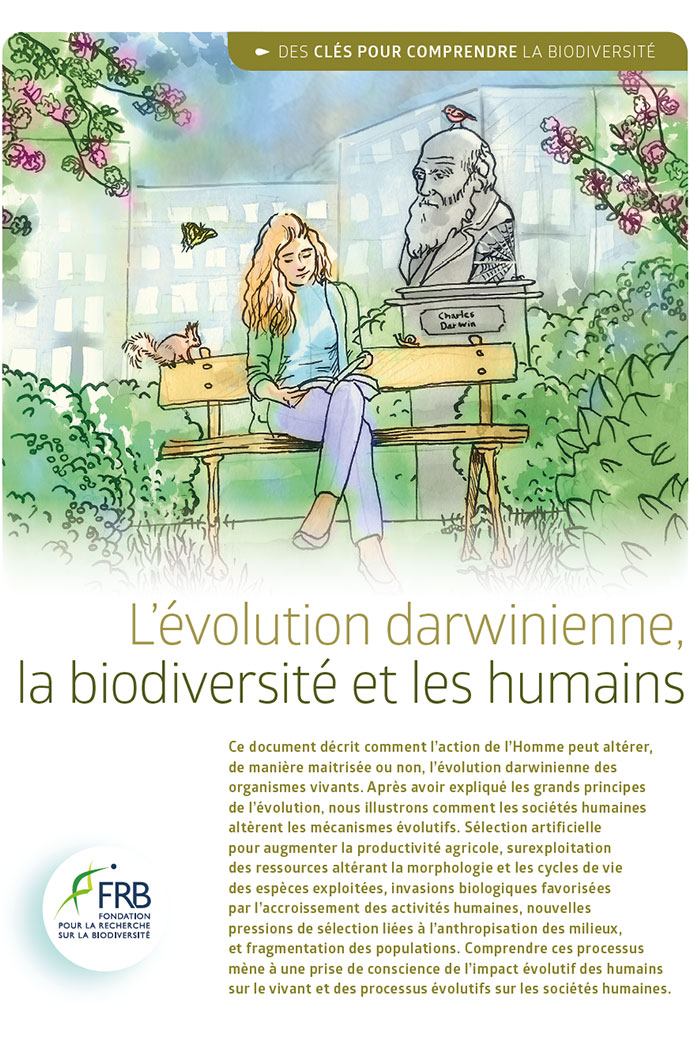 L’évolution darwinienne, la biodiversité et les humains