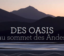 Des oasis au sommet des Andes – Exposition photographies