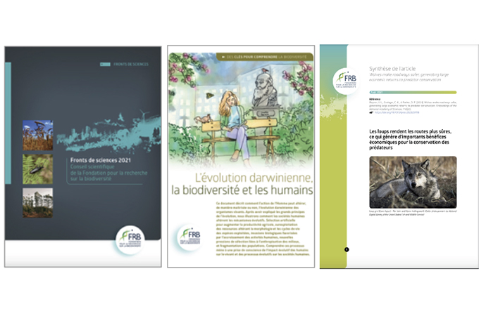 [Actualités et publications] La biodiversité au cœur des débats de la rentrée