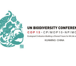 COP 15 Biodiversité : la nécessaire intégration des enjeux climatiques et financiers au cœur des dernières annonces