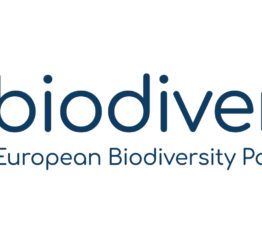 Appel aux organisations pour rejoindre le Conseil élargi des parties prenantes de Biodiversa+