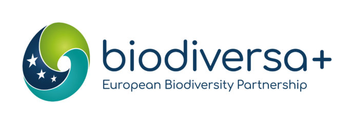 Appel aux organisations pour rejoindre le Conseil élargi des parties prenantes de Biodiversa+